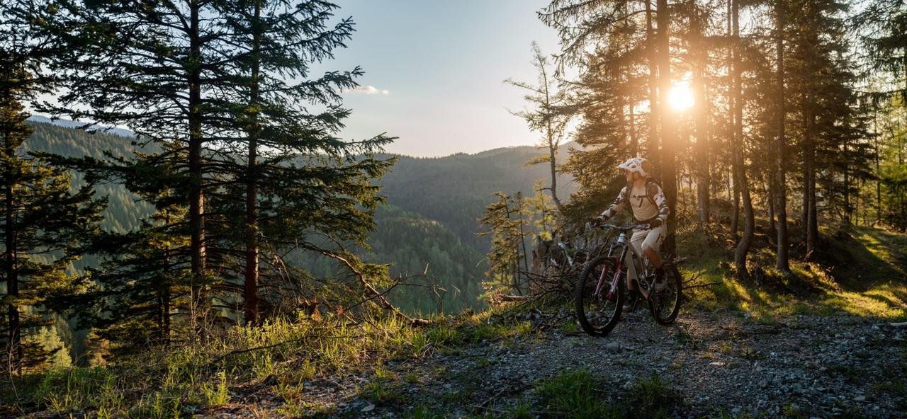 Mountain biker on a forest trail