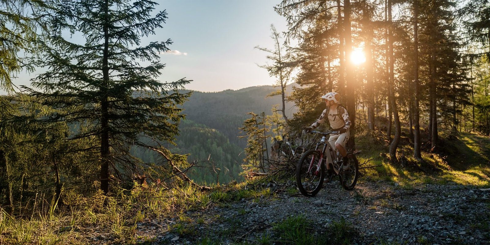 Mountain biker on a forest trail
