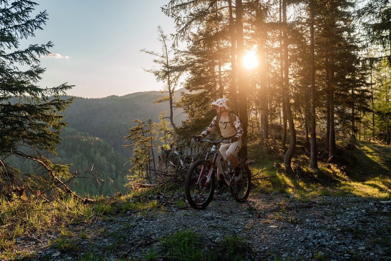 Mountain bikers on a forest trail at sunset